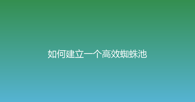 如何建立一个高效蜘蛛池 封面图